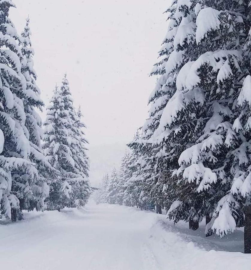 Hasi Hotel Jermuk Eksteriør bilde