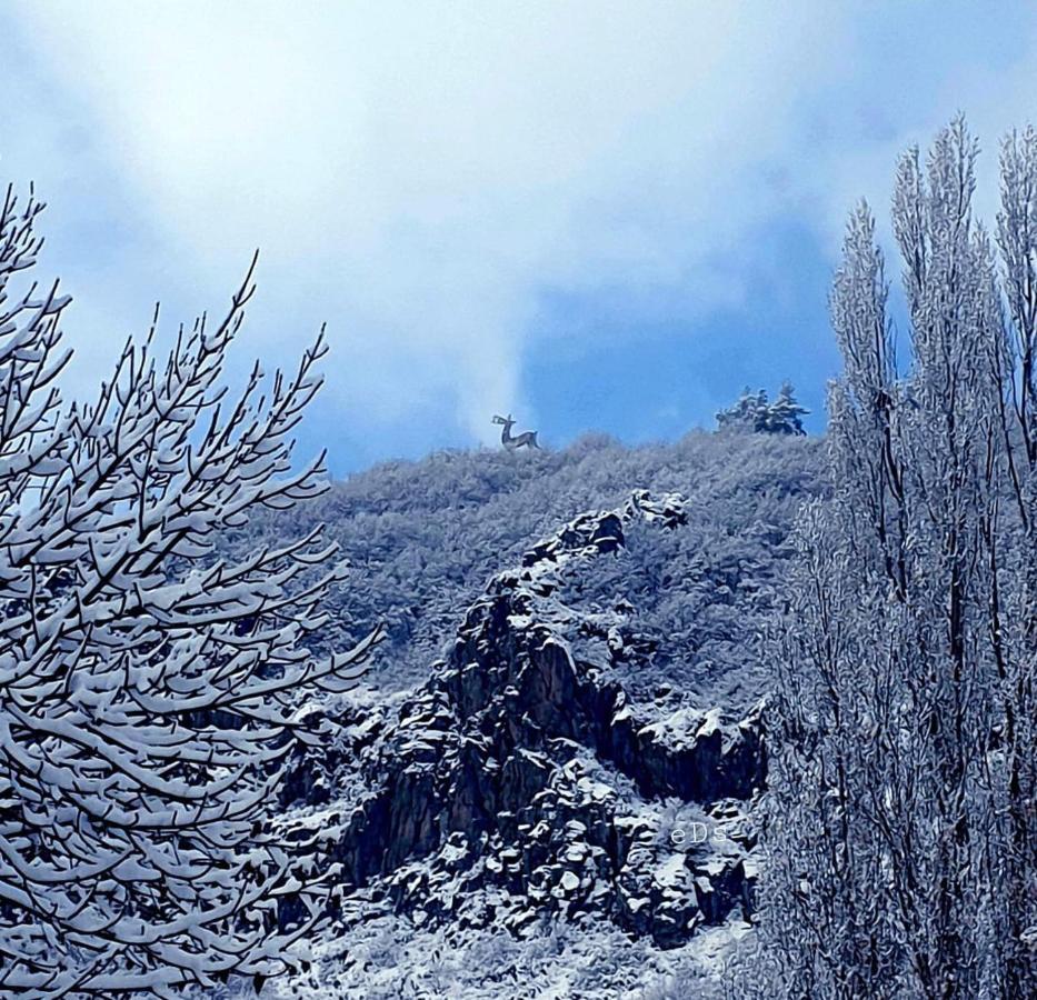 Hasi Hotel Jermuk Eksteriør bilde